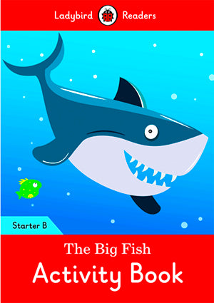 The Big Fish Activity Book (Lb)