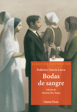 Bodas De Sangre (Clasicos Hispanicos)